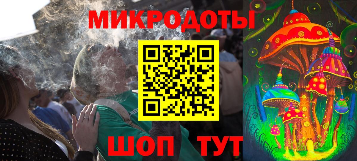 Псилоцибиновые грибы Psilocybe Ессентуки