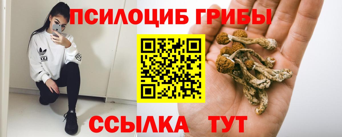 Псилоцибиновые грибы Psilocybe  Псилоцибиновые грибы мухоморы  Ессентуки  Вход с VPN 